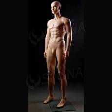 Figurína pánská Portobelle 017