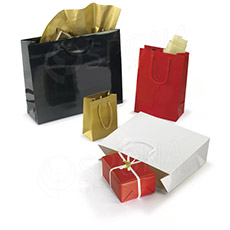 Dárková papírová taška SHINE 19x10x27 cm, červená, bavlněné ucho