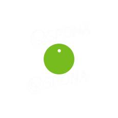 Papírové visačky DREAMER průměr 26 mm, zelené, 250 ks